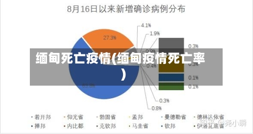 缅甸死亡疫情(缅甸疫情死亡率)