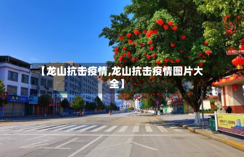 【龙山抗击疫情,龙山抗击疫情图片大全】