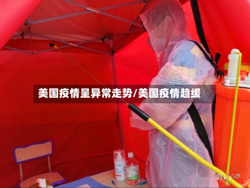 美国疫情呈异常走势/美国疫情趋缓