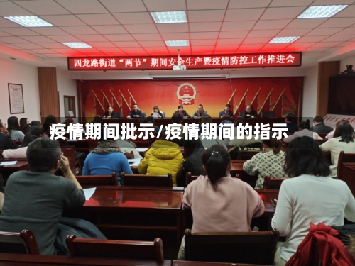 疫情期间批示/疫情期间的指示