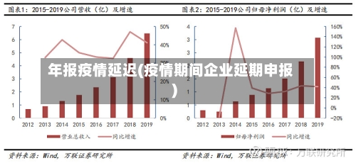年报疫情延迟(疫情期间企业延期申报)