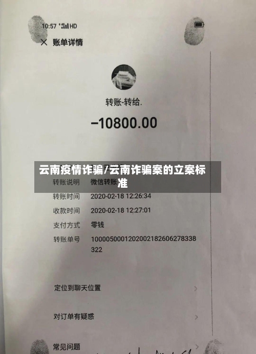 云南疫情诈骗/云南诈骗案的立案标准