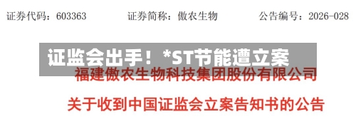 证监会出手！*ST节能遭立案