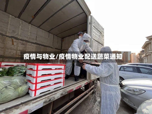 疫情与物业/疫情物业配送蔬菜通知