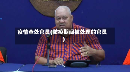 疫情查处官员(防疫期间被处理的官员)