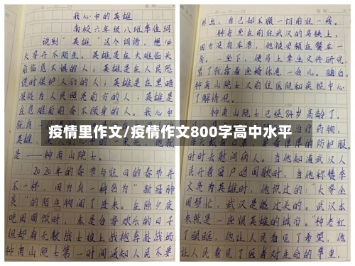 疫情里作文/疫情作文800字高中水平