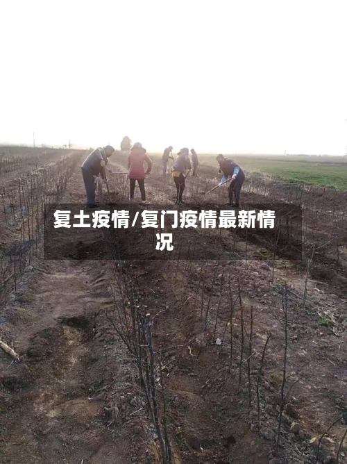复土疫情/复门疫情最新情况