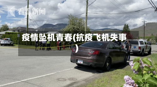 疫情坠机青春(抗疫飞机失事)