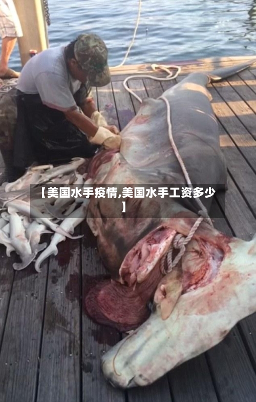 【美国水手疫情,美国水手工资多少】