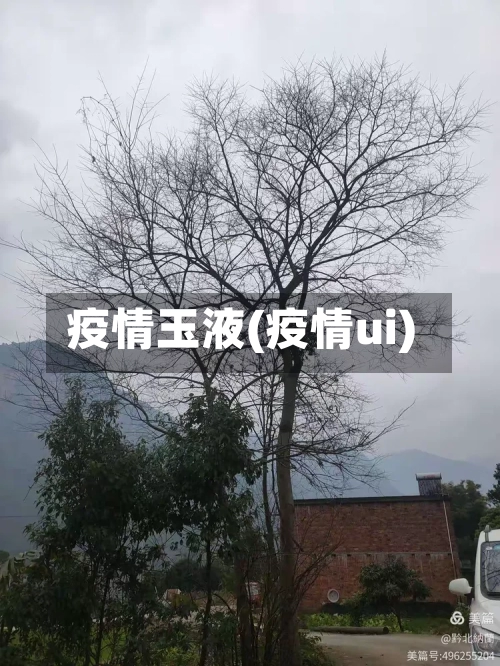 疫情玉液(疫情ui)