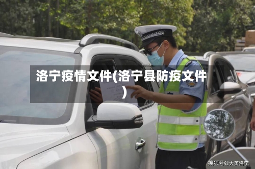 洛宁疫情文件(洛宁县防疫文件)