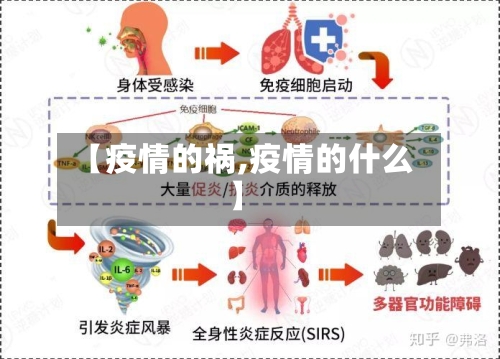 【疫情的祸,疫情的什么】