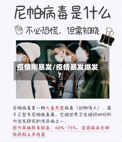 疫情刚暴发/疫情暴发爆发?