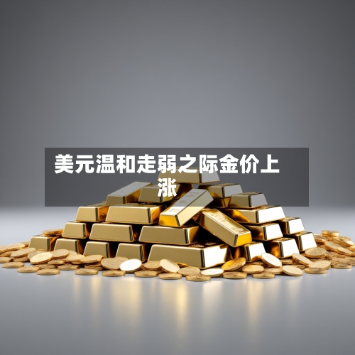 美元温和走弱之际金价上涨