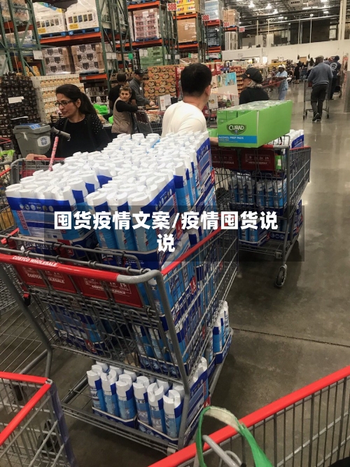 囤货疫情文案/疫情囤货说说