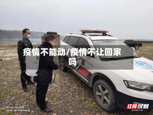 疫情不能动/疫情不让回家吗