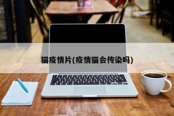 猫疫情片(疫情猫会传染吗)