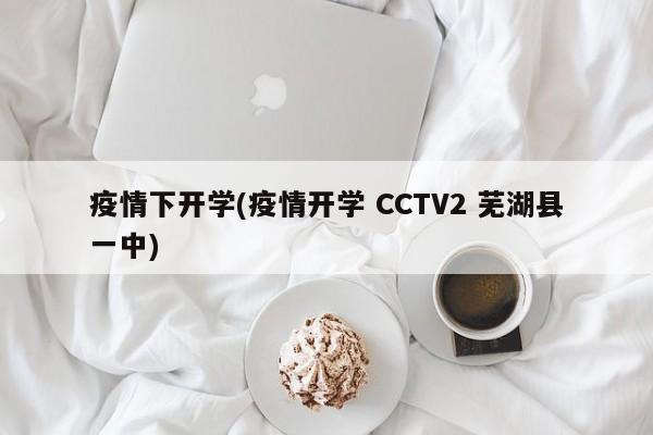 疫情下开学(疫情开学 CCTV2 芜湖县一中)