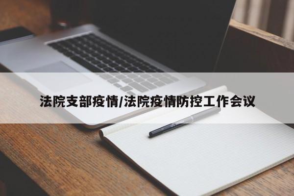 法院支部疫情/法院疫情防控工作会议